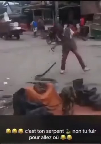 Le répé fui son serpent